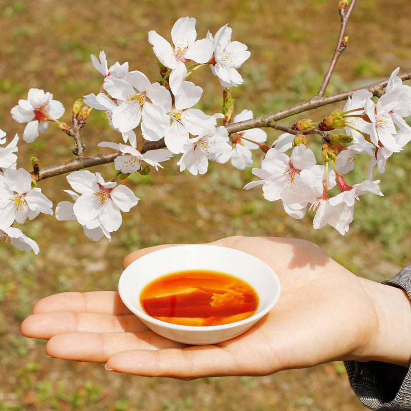 Mount Fuji Soy Sauce Dish