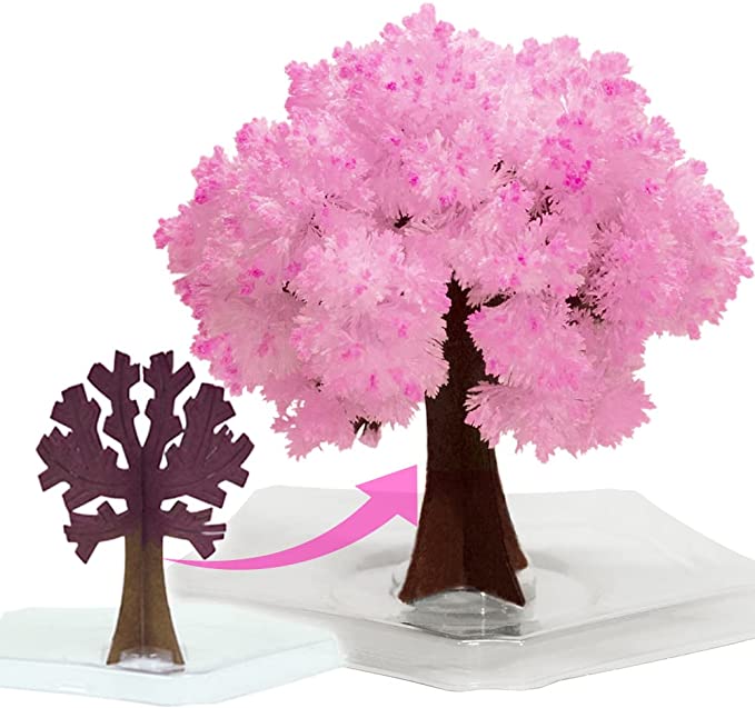  TTEDMO Magic Sakura, Magic Sakura Tree, Magic Sakura Cherry  Blossom, Magic Growing Crystal Christmas Tree, Magic Growing Paper Sakura  Tree (Set D) : Toys & Games