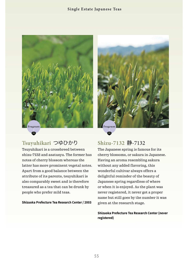 A Beginner’s Guide to Japanese Tea