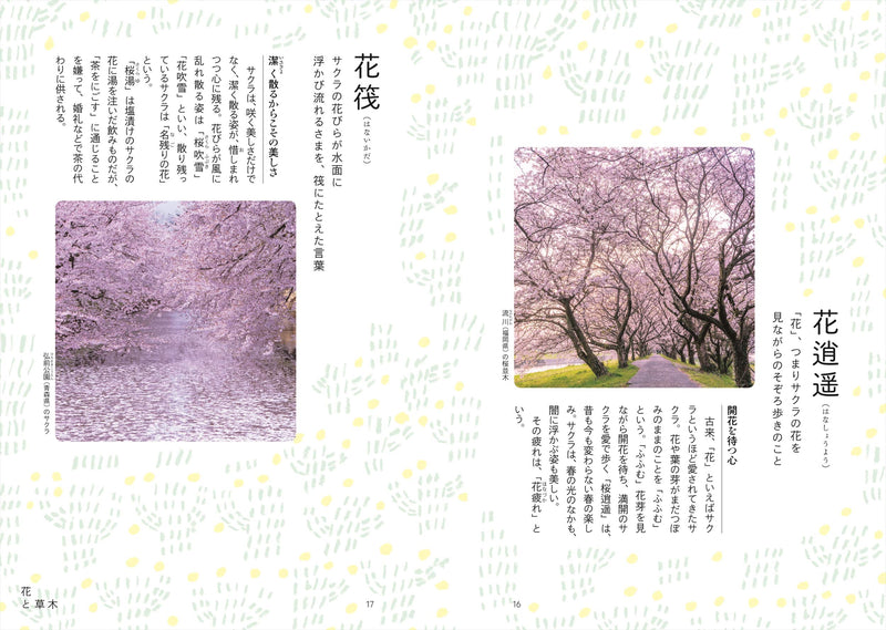A Dictionary of Japanese Beauty