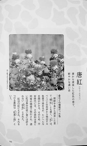 A Dictionary of Japanese Beauty