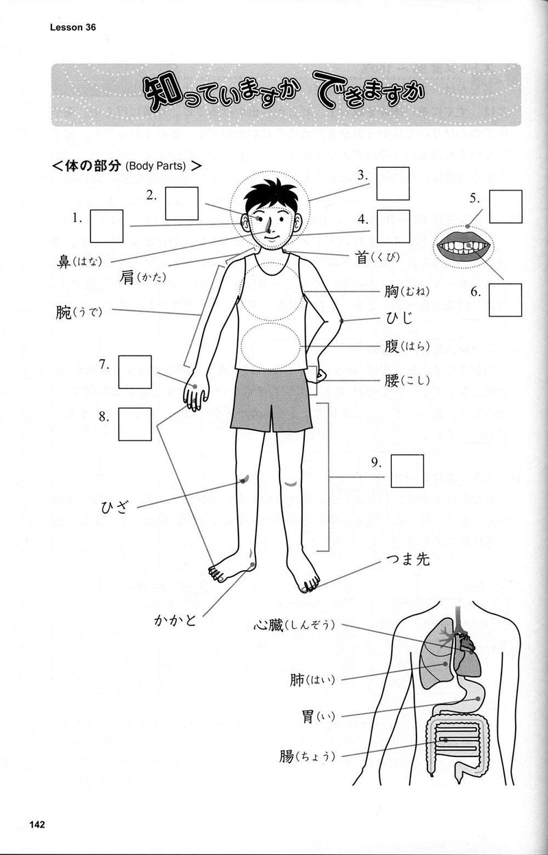 Basic Kanji Book Vol. 2 - Basic 500 Kanji