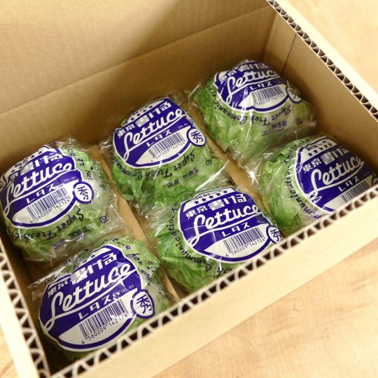Lettuce Notepad - Tokyo Kakeru Lettuce