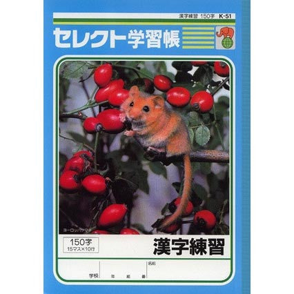 Kanji Practice Notebook (renshucho) - 150 Squares/page - White Rabbit Japan Shop - 1