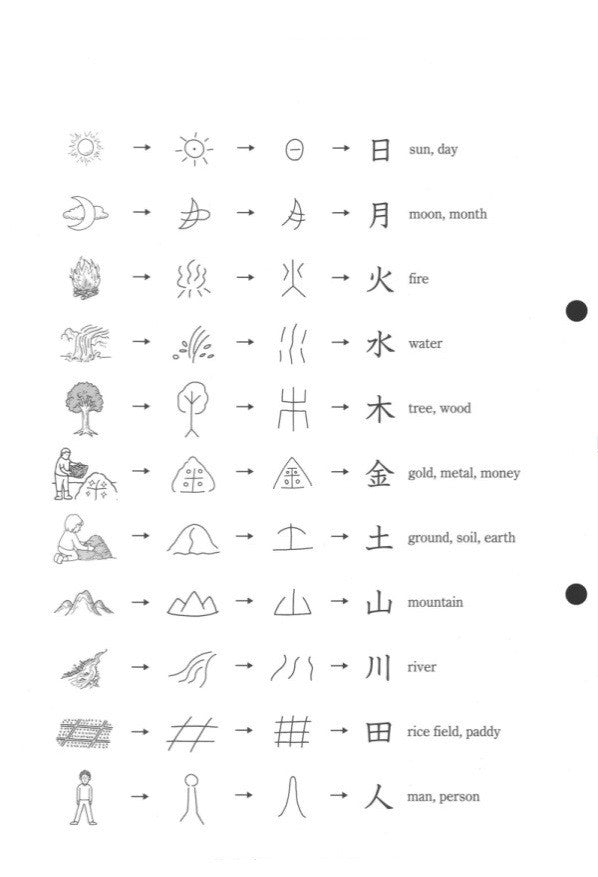 Write Now! Kanji for Beginners - White Rabbit Japan Shop - 3