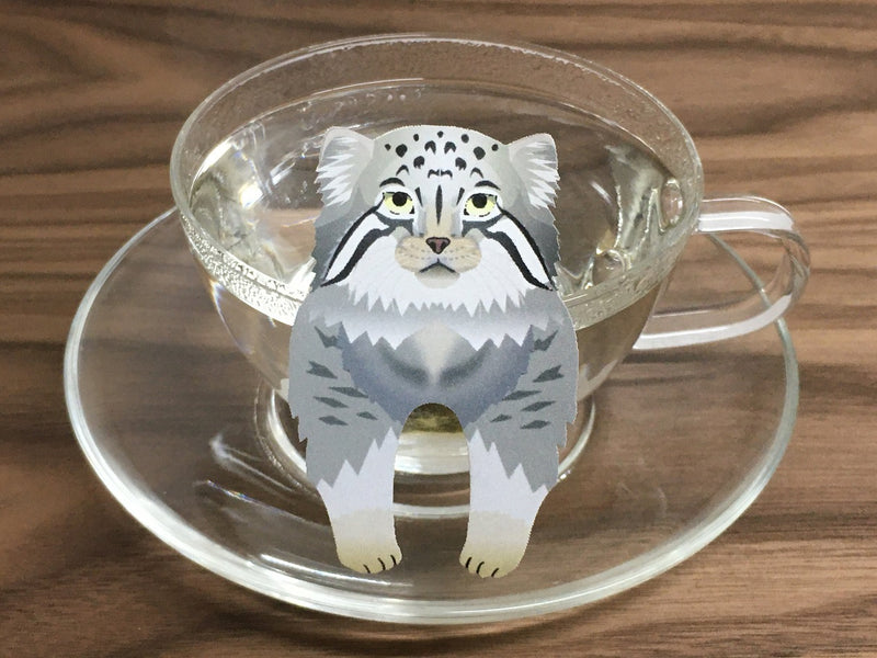Wild Cat White Tea by Ocean Tea Bag