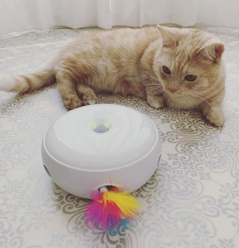 Cat Sitter 2.0 (Interactive Pet Toy)