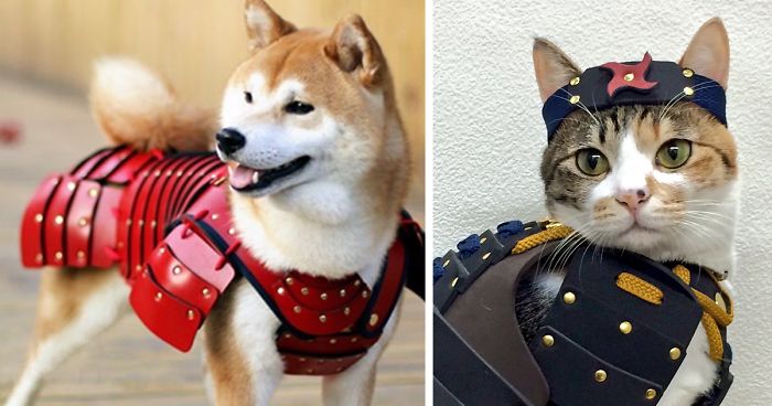 Pet Samurai Armor for Cats / Dogs Handmade in Japan