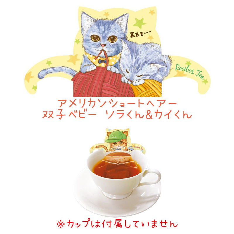 Baby Cat Kitten Tea Rooibos