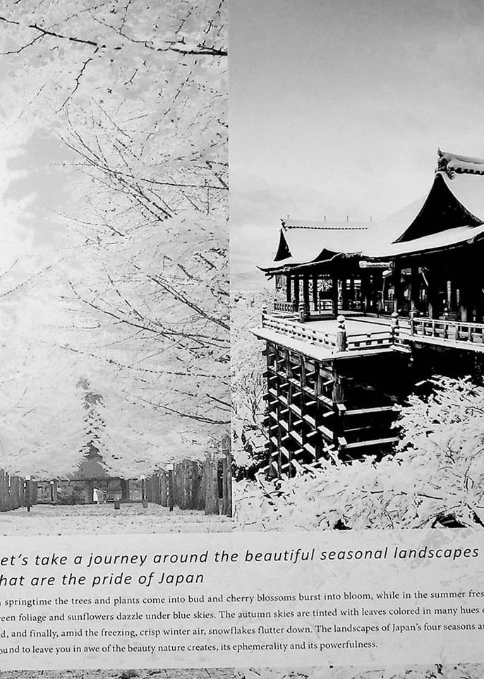 Seasonal Japan – The Exquisite Scenery of Japan’s Four Seasons