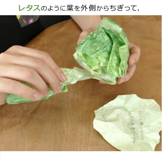 Lettuce Notepad - Tokyo Kakeru Lettuce