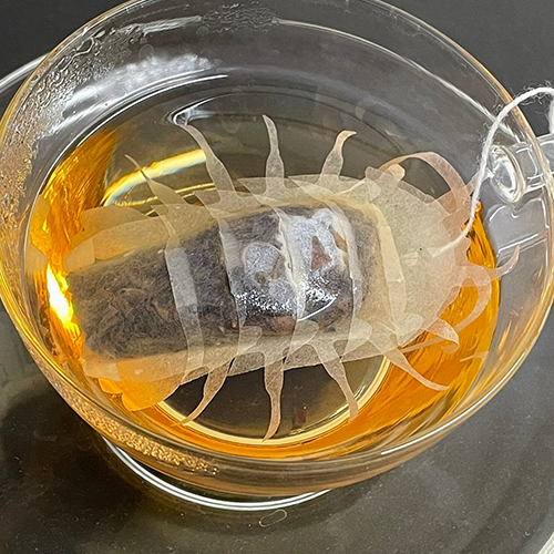 Isopod Bug Tea by Ocean Tea Bag - Eastern Beauty