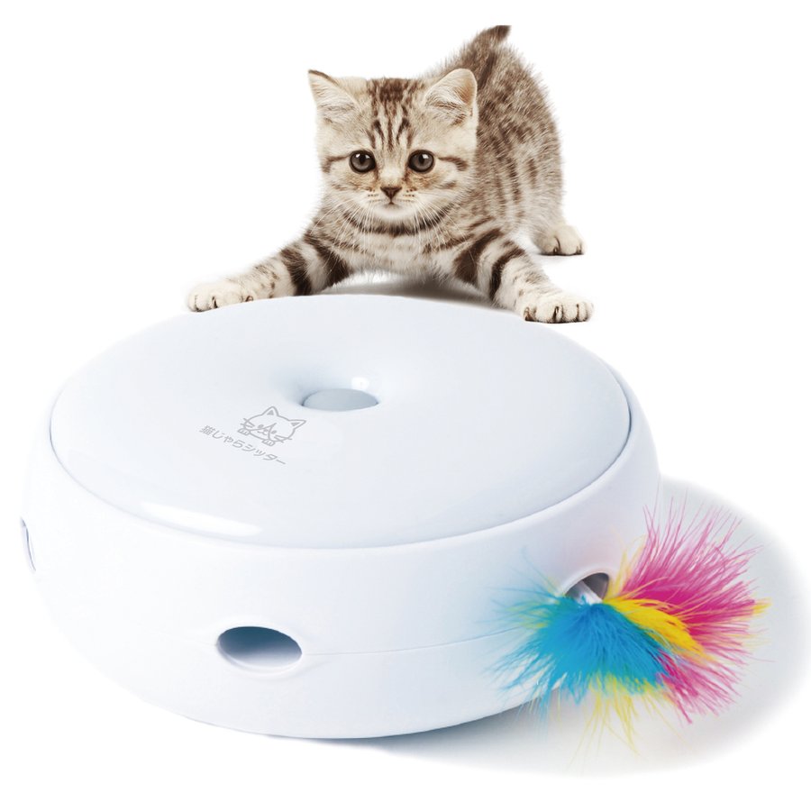 Why Cat's Need Interactive Toys - Pet Sitting