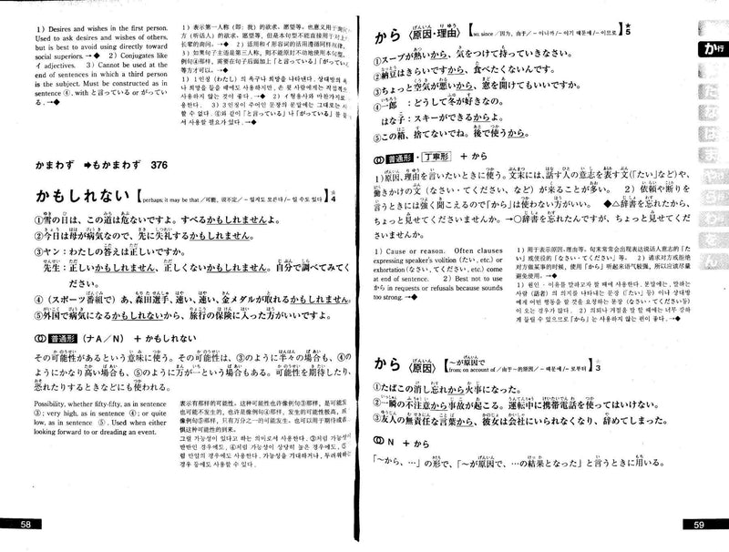 Nihongo Hyogen Bunkei Jiten (Dictionary of Essential Japanese Expressions) - White Rabbit Japan Shop - 2